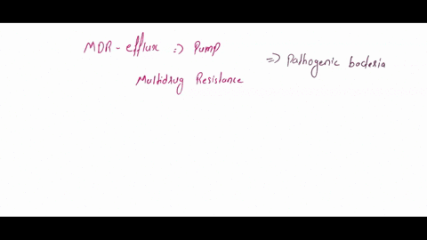 explain-the-concept-of-what-an-mdr-efflux-pump-56682