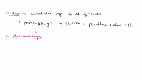 protists-with-the-capabilities-to-absorb-nutrients-from-dead-organisms-are-called-a-photoautotrophs-48518