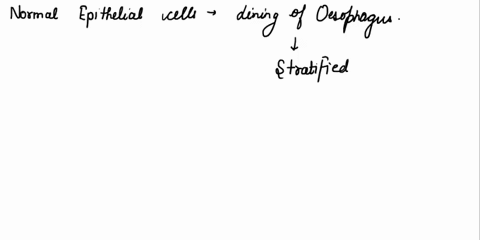 identify-the-normal-epithelium-present-in-the-lining-of-the-esophagus-and-briefly-describe-how-the-structure-of-the-esophageal-epithelium-is-related-to-normal-function-in-the-esophagus-passi-57695