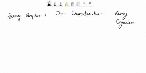 explain-the-difference-between-homologous-and-vestigial-structures-and-provide-an-example-for-each-95182