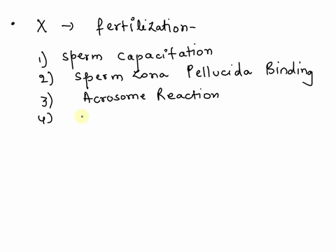 question-32-which-of-the-following-is-not-phase-of-fertilization-capacitation-b-passage-of-sperm-through-corona-radiata-penetration-of-zona-pellucida-with-acrosomal-reaction-dfusion-of-plasm-60627