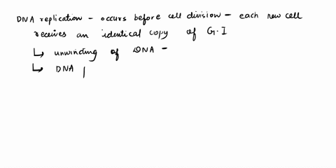 before-a-cell-divides-it-makes-a-copy-of-its-genes-during-28379