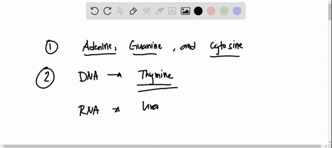 1-answer-the-following-questions-a-which-three-nucleic-acid-bases-are-common-to-both-dna-and-rna-b-rna-differs-from-dna-in-one-nucleotide-dna-contains-________-rna-contains-_____________-c-t-73898