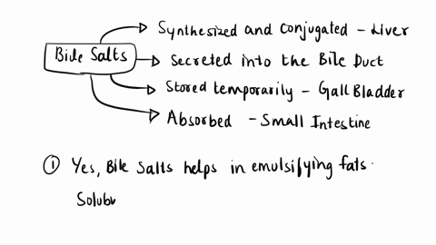 which-of-the-following-isare-true-of-bile-salts-select-anylall-that-apply-they-help-emulsify-fats_-they-give-enzymes-that-catalyze-the-breakdown-of-fats-access-to-fats-they-are-amphipathic-61007