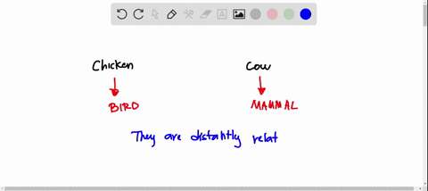 why-do-a-chicken-embryo-and-a-cow-embryo-look-very-similar-even-though-the-adults-do-not-athey-are-not-related-but-still-have-similar-development-bthey-are-distantly-related-so-their-develop-58453
