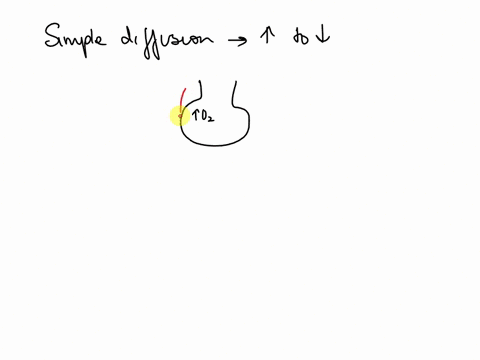 question-15-1-point-simple-squamous-epithelial-tissue-can-be-found-in-the-air-sacs-or-alveoli-of-the-lungs-as-well-as-in-the-tiniest-blood-vessels-called-capillaries-why-is-it-important-to-h-14232
