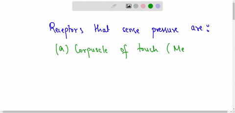 select-all-that-apply-indicate-the-receptors-that-sense-pressure-a-corpuscle-of-touch-meissner-touch-b-type-i-cutaneous-mechanoreceptor-tactile-disc-c-lamellated-corpuscle-d-type-ii-cutaneou-13197