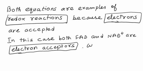 fad-2e-2h-fadhz-nadt-2e-ht-_-nadh-oxdabon-elecuons-bolh-cqualins-above-2ic-eramples-0l-becjuse-we-eeccpled-ejcdons-ccenzymes-glcotysis-in-thns-czse-both-fad-and-miad-are-teducbon-when-these-54245