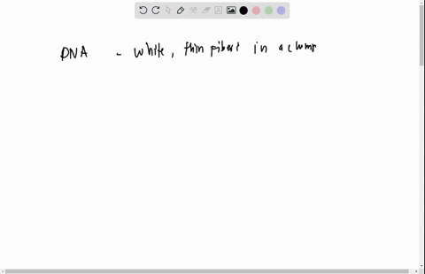 what-did-the-dna-look-like-relate-what-you-know-about-the-chemical-structure-of-dna-to-whal-_-you-observed-today-explain-what-happened-in-the-final-step-when-you-added-ethanol-t0-your-strawb-60046