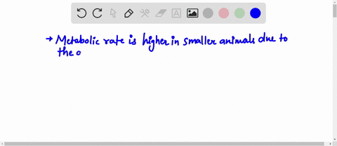 do-bigger-or-smaller-animals-have-a-higher-metabolic-rate-and-how-do-the-energy-requirements-per-unit-of-mass-vary-between-these-animals-68658