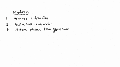 descending-limb-ascending-limb-using-the-letters-on-the-figure-above-identify-the-sections-of-the-nephron-where-the-following-events-occur-18-most-major-nutrients-like-glucose-are-reabsorbed-25744