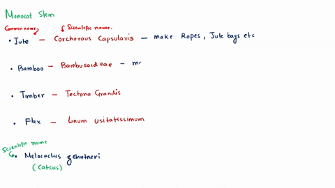 give-5-economic-used-of-monocot-stems-name-the-specific-plant-86845