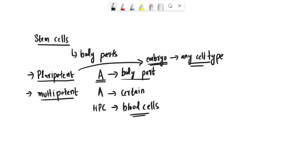 SOLVED: Tim is researching the regenerative property of stem cells as a ...