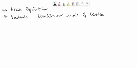 our-sense-of-static-equilibrium-is-created-by-the-____-90736