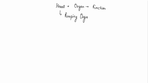 the-heart-is-the-most-important-organ-in-the-circulatory-system-what-is-the-main-function-of-the-circulatory-system-64505