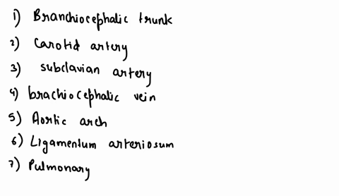 part-b-heart-and-blood-vessels-exercise-114-heart-anatomy-label-the-following-apex-auricle-of-right-atrium-auricle-of-left-atrium-right-ventricle-left-ventricle-pulmonary-trunk-brachiocephal-23874
