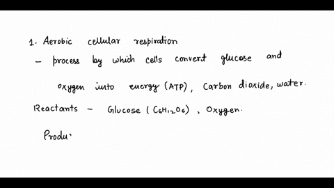 1-what-is-aerobic-cellular-respiration-which-are-the-reactants-and-products-2-how-many-atp-molecules-are-produced-by-cellular-respiration-and-by-fermentation-3-where-in-the-cell-glycolysis-a-53059