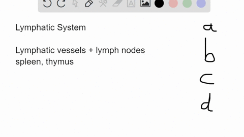 which-is-not-a-function-of-the-lymphatic-system-a-filters-out-pathogens-b-returns-fluid-to-the-circu-98815