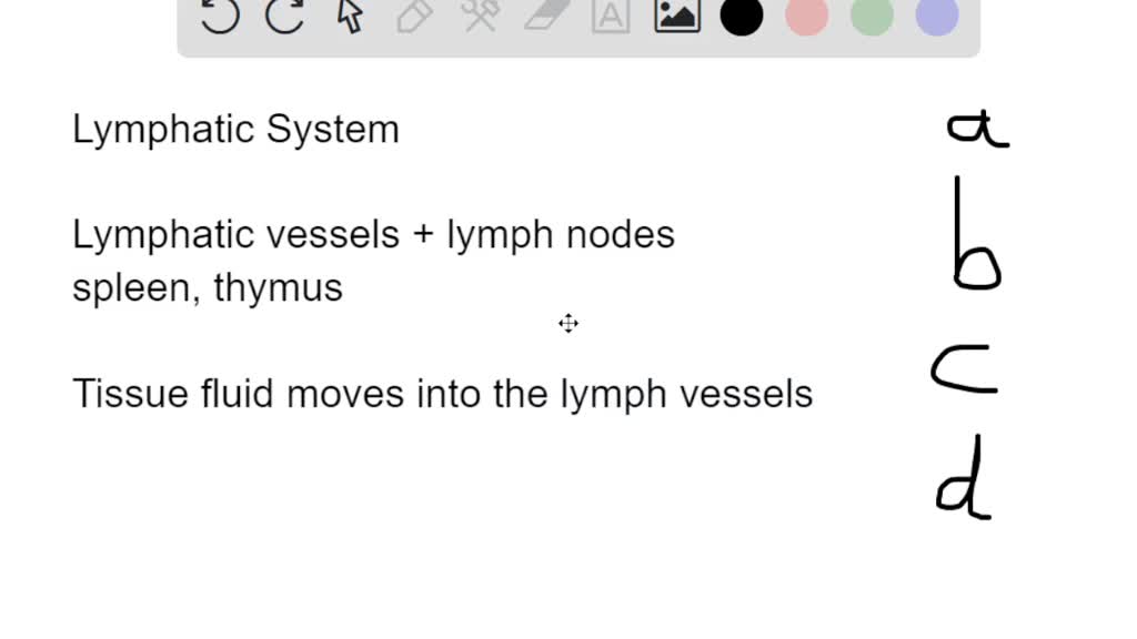 SOLVED Which is not a function of the lymphatic system? a. filters out