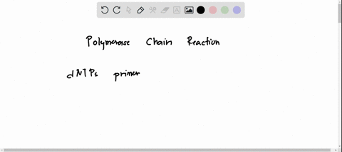 which-of-the-following-is-not-involved-in-pcr-rna-dntp-primers-amplification-template-dna-94503