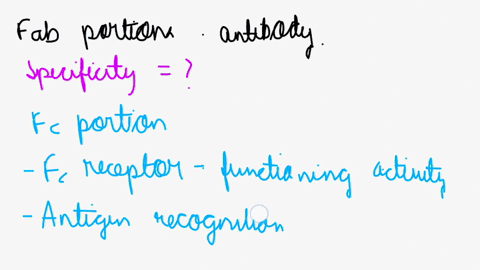 consider-the-fc-and-fab-regions-of-an-antibody-would-it-be-worse-for-the-function-of-the-antibody-for-it-to-lose-the-fc-region-or-a-fab-region-please-explain-your-reasoning-66958