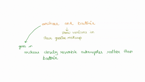 archaea-and-eubacteria-are-both-forms-of-bacteria-look-at-the-short-definitions-of-both-of-them-how-are-they-different-83515