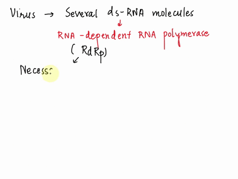 you-heve-isolated-virus-from-ng-stool-of-a-paliani-wih-diarhea-and-shown-ihal-ils-genoma-composed-l-munalu-dhla-double-stranded-rna-which-of-the-lollowing-statements-best-describe-his-virus-44095