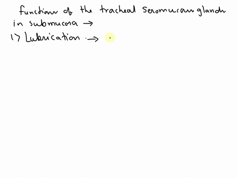 what-are-the-functions-of-the-tracheal-seromucous-glands-in-the-submucosa-73445