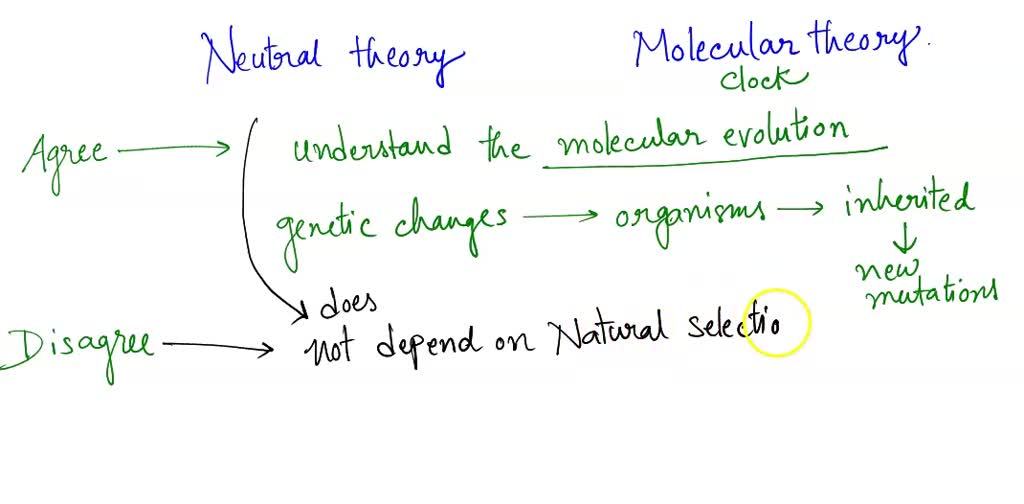 SOLVED: In What Way Does The Molecular Clock Depend On Kimura's Neutral ...