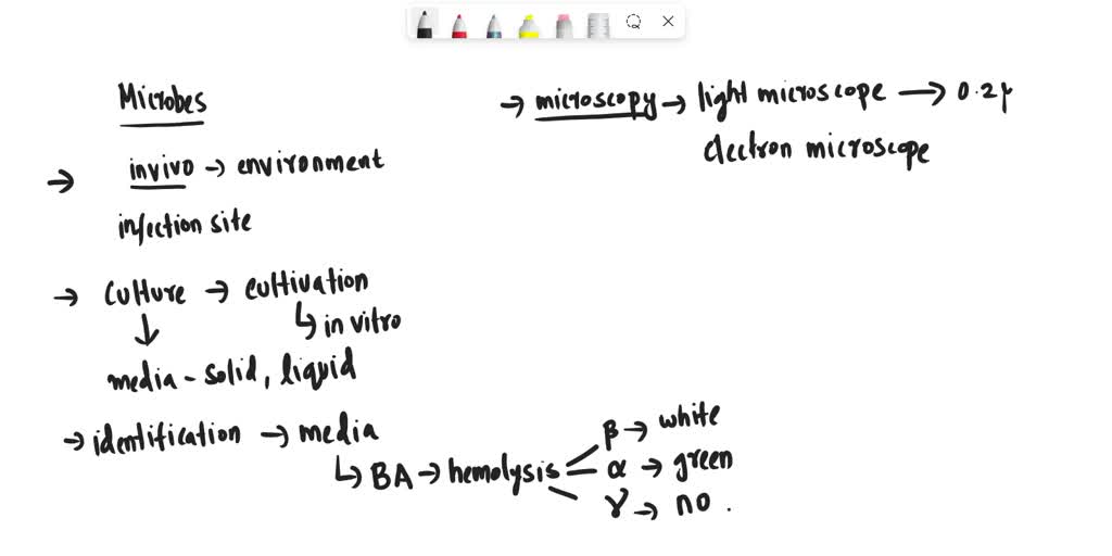 SOLVED Describe the different ways can be identified in