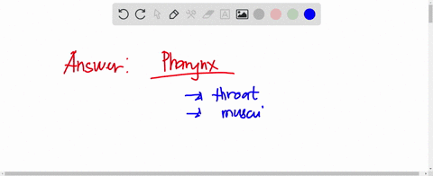 question-2-which-structure-is-highlighted-in-aqua-below-epiglottis-pharynx-trachea-larynx-80133