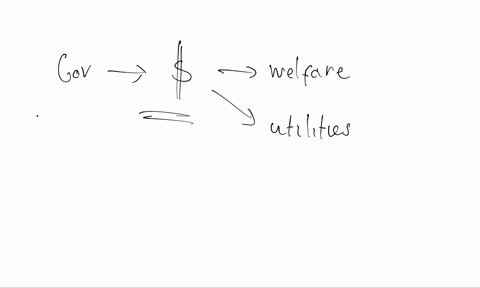 how-does-a-government-agency-raise-revenue-differently-from-a-private-company-and-how-does-that-affe-57712