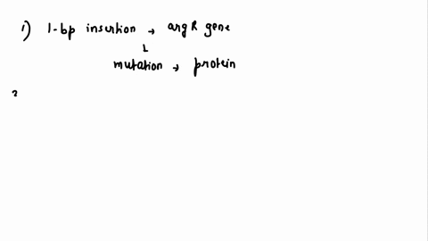 The Arg genes that encode the enzymes for arginine...