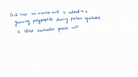 a-molecule-of-trna-includes-a-sequence-of-three-nitrogenous-bases-called-an-anticodon-what-is-the-role-of-the-anticodon-in-the-process-of-translation-a-the-anticodon-binds-to-a-codon-on-rrna-17535