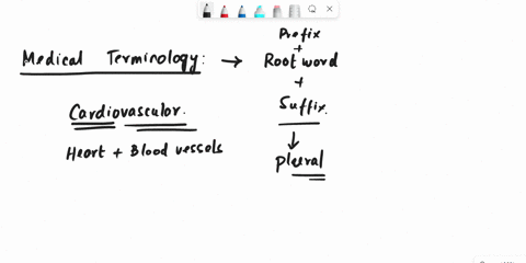 nouns-ending-in-s-ss-sh-ch-x-or-z-form-their-plural-by-adding-s-or-es-79875