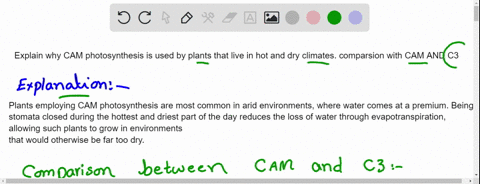 explain-why-cam-photosynthesis-is-used-by-plants-that-live-in-hot-and-dry-climates-comparsion-with-cam-and-c3-62839