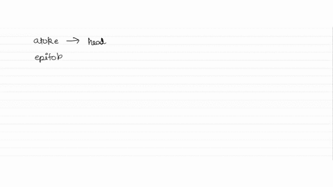 1-is-the-nereis-specimen-you-are-looking-at-an-atoke-or-epitoke-how-can-you-tell-2-how-can-you-tell-which-end-is-the-posterior-end-of-a-bivalve-3-how-can-you-tell-the-difference-between-the-89063