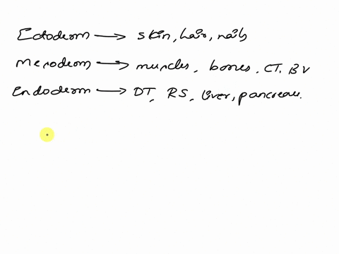 part-b-germ-layers-name-the-3-germ-layers-give-an-example-of-an-organ-or-tissue-that-develops-from-each-what-is-a-blastula-layer-humans-are-triploblastic-jellyfish-are-diploblastic-_-what-is-55317