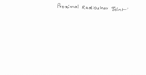 the-proximal-radioulnar-joint-__________-a-is-supported-by-the-annular-ligament-b-contains-an-articu-89169