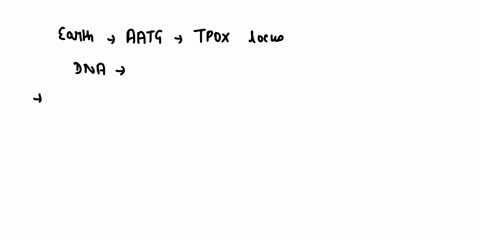 texts-1-below-is-an-illustration-of-the-20-locations-loci-that-are-investigated-for-the-number-of-repeating-sequences-strs-when-creating-a-dna-profile-for-an-individual-when-looking-at-the-t-23894