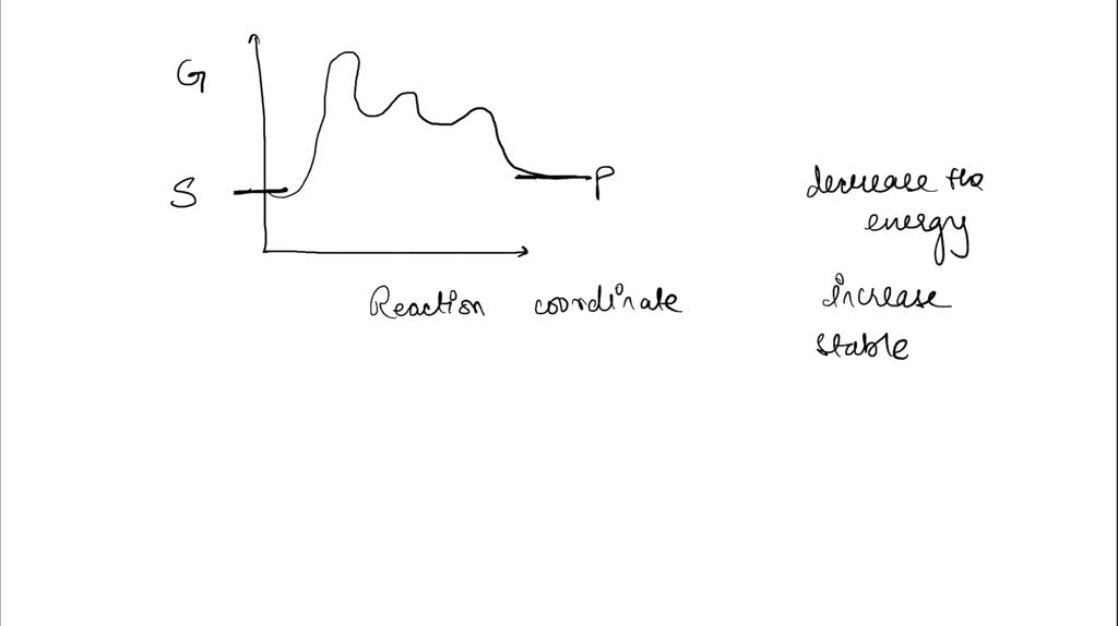 solved-on-the-free-energy-diagram-shown-label-the-intermediate-s-and