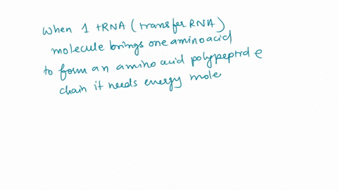 how-many-atp-equivalents-atp-adp-pi-are-needed-to-make-a-200-amino-acid-polypeptide-from-a-mrna-template-amino-acids-and-trna-molecules-gtp-gdp-pi-counts-as-one-atp-equivalent-and-atp-amp-2-22927