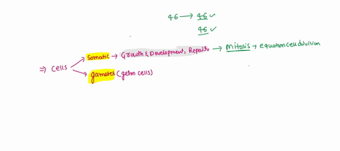 which-of-the-following-cellular-processes-will-be-involved-in-the-growth-development-and-reproduction-of-the-offspring-a-meiosis-only-b-mitosis-only-c-both-meiosis-and-mitosis-d-neither-meio-70856