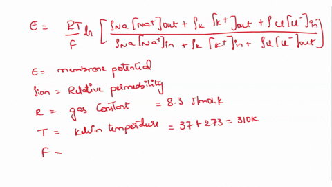 table-31-approximate-intracellular-and-extracellular-concentrations-of-the-important-ions-across-squid-giant-axon-ratio-of-permeabilities-and-nernst-potentials-cytoplasm-mm-extracellular-flu-28394