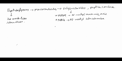 1-what-is-peptidoglycan-how-do-gram-positive-and-gram-negative-bacteria-differ-in-terms-of-peptidoglycan-2-what-part-of-the-bacterial-cell-is-attacked-by-lysozyme-3-who-discovered-lysozyme-a-44696