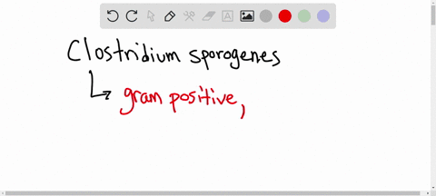 question-10-1-pts-one-of-your-classmates-claims-to-have-clostridium-sporogenes-as-their-gram-negative-bacteria-you-find-this-difficult-to-believe-please-select-all-the-reasons-why-someone-sh-85087