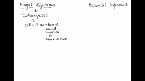why-fungal-infections-are-more-difficult-to-treat-compared-to-bacterial-infection-discuss-use-your-own-words-to-explain-52213