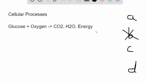 the-process-that-involves-using-glucose-and-oxygen-to-produce-energy-carbon-dioxide-water-is-called-the-process-that-involves-using-glucose-and-oxygen-to-produce-energy-carbon-dioxide-and-wa-31084