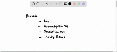 what-is-the-name-of-the-hominin-genus-that-possesses-running-adaptations-orrorin-homo-sahelanthropus-australopitnecus-63053