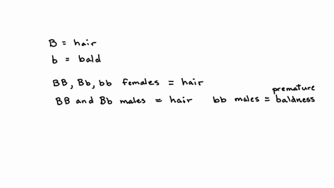 in-humans-there-is-a-genetic-form-of-premature-baldness-that-is-due-to-an-autosomal-recessive-gene-allele-b-this-is-a-sex-limited-trait-it-only-appears-in-males-imagine-a-man-with-a-full-head-of-hair